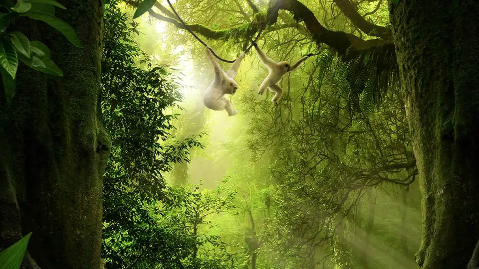 Affen hangeln durch eine grüne Dschungellandschaft, Bild zum Quest "Jungle"