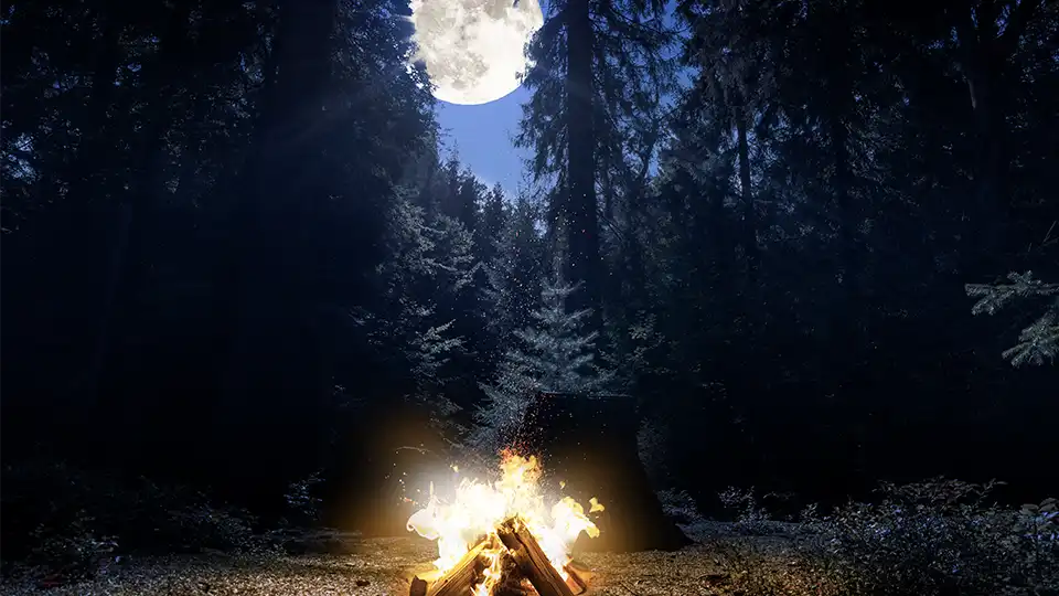 Ein mystischer Wald mit Vollmond und Lagerfeuer, zum Quest "Wildmarken"